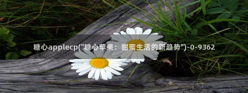 糖心vlog官：糖心applecp(\