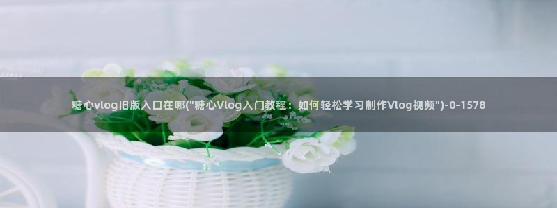 糖果心vlog怎么下载：糖心vlog旧版入口在哪(\