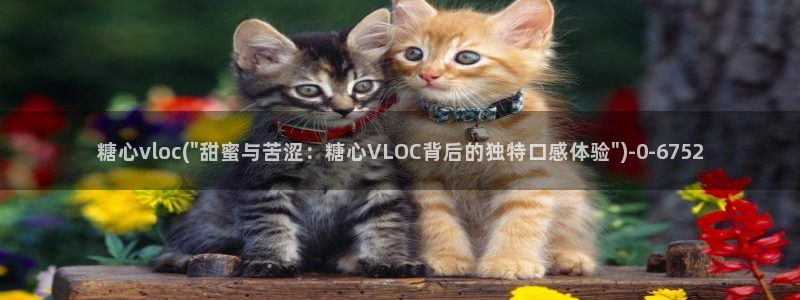 心糖vlog最新视频：糖心vloc(\