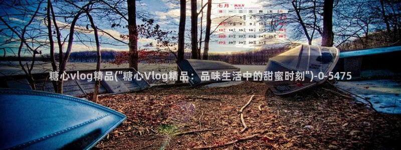 多乙糖心vlog：糖心vlog精品(\