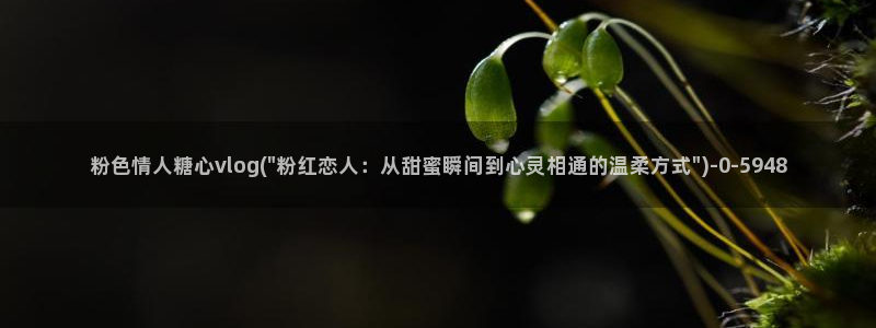 糖心vlog是啥：粉色情人糖心vlog(\