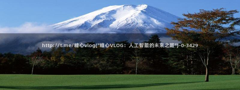 糖心vlog小