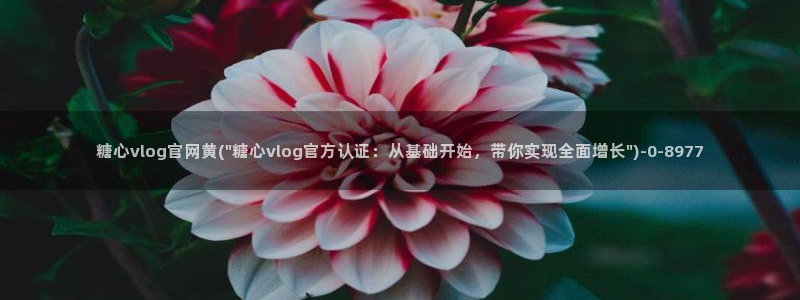 糖心vlog破解版下载连接