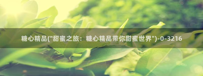 糖心vlog直播：糖心精品(\